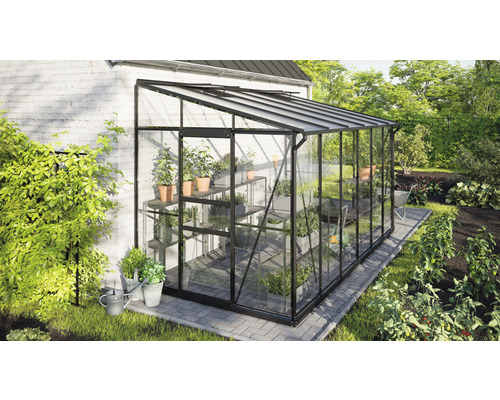 Gewächshaus mit Regalen, Pflanzen und Gartengeräten im Garten