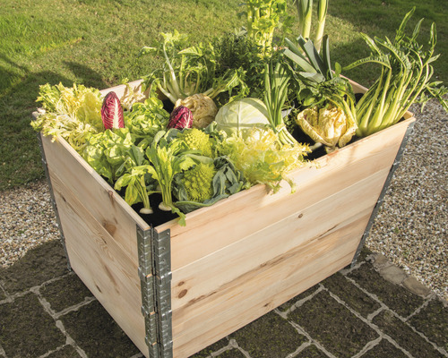 Jardinière surélevée en bois plantée de salade et de légumes