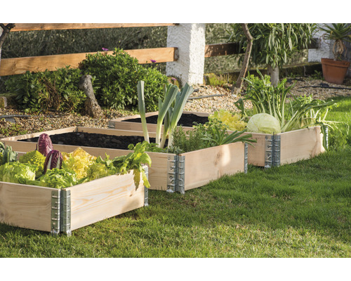 Trois plates-bandes surélevées en bois dans le jardin plantées de légumes et d''herbes aromatiques.