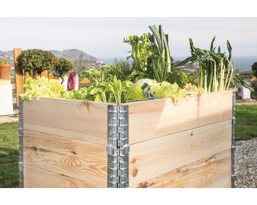 Jardinière surélevée en bois plantée de salade et de légumes