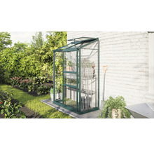 Gewächshaus mit Regalen im Garten