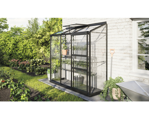 Gewächshaus Vitavia Ida 1300 Sicherheitsglas 3 mm 192,8 x 68,8 cm schwarz Gewächshaus aus Glas mit Pflanzenregalen im Garten