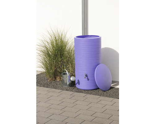 Lila Regentonne mit Wasserhahn, Deckel und Giesskanne im Garten