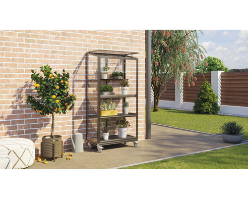 Vue de jardin avec un chariot à étagères en métal contenant plusieurs plantes