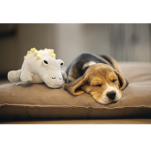 Chiot Beagle endormi avec peluche sur coussin pour chien