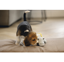 Un chiot beagle est allongé sur un coussin et se blottit contre une peluche.