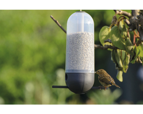 Nourriture pour oiseaux de jardin NABU bloc d'énergie avec insectes -  HORNBACH