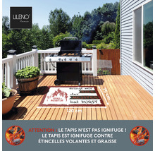 Grillplatz mit Teppich, Grill und Holzterrasse