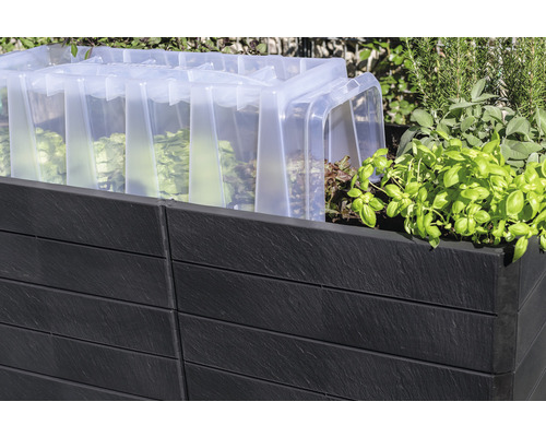 Jardinière surélevée avec couvercle de couche et salades