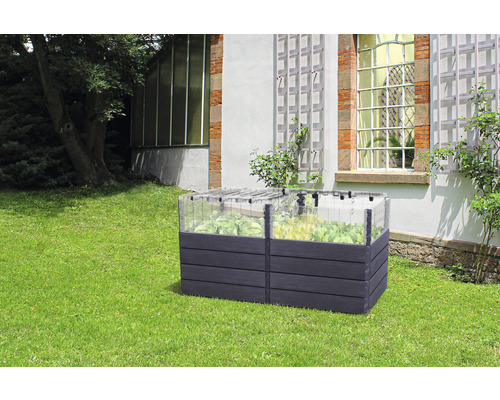 Jardinière surélevée avec plantes dans le jardin