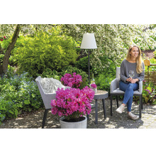 Gartenszene mit Frau, Stuhl, Tisch, Stehlampe und Rhododendron