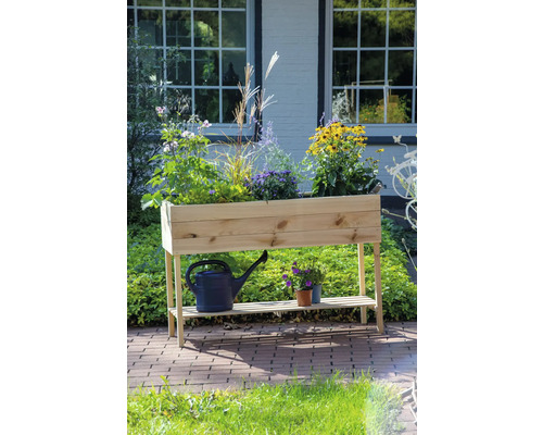 Jardinière surélevée en bois avec plantes, arrosoir et pots dans le jardin