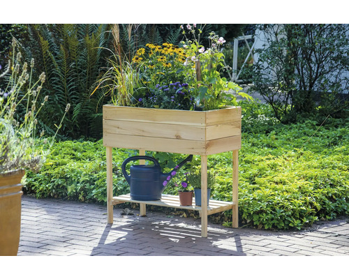 Jardinière surélevée sur pilotis dobar avec support 80 x 40 x 78 cm nature Jardinière sur pieds en bois avec plantes et arrosoir dans le jardin