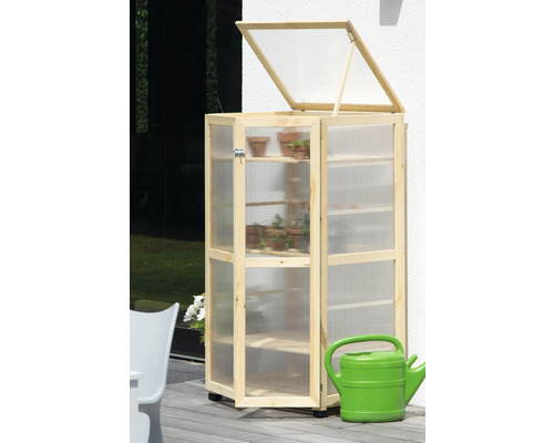 Serre en bois avec étagères et porte ouverte, arrosoir inclus