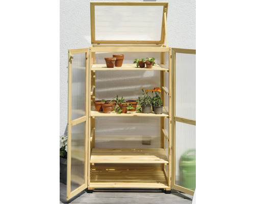 Serre en bois avec trois étagères et plantes