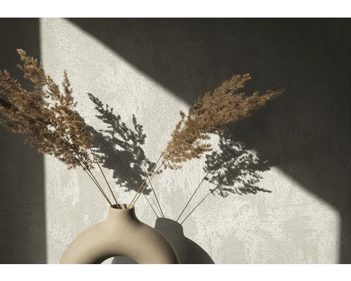 Fleurs séchées décoratives dans un vase avec ombre portée sur le mur