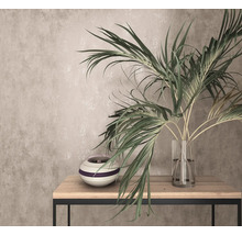 Arrangement décoratif avec plante d''intérieur dans un vase en verre et un vase en céramique sur une table