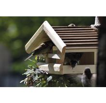 Nichoir en bois avec plusieurs oiseaux