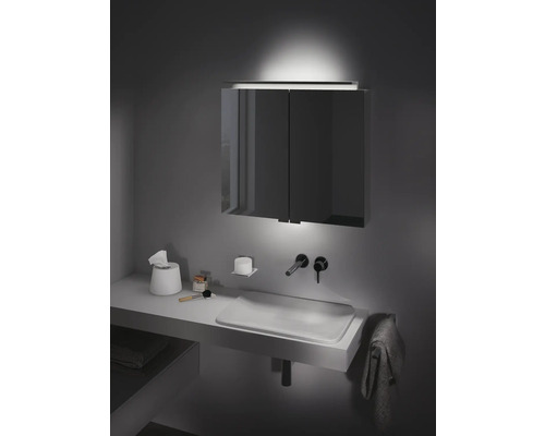 Salle de bains moderne avec armoire de toilette et lavabo