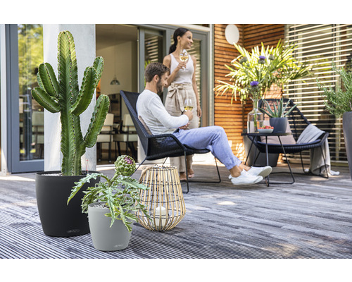 Scène avec des plantes en pots, des sièges et des personnes détendues sur une terrasse