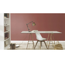 Exemple d''aménagement : bureau avec lampe et chaise dans une pièce avec bibliothèque.