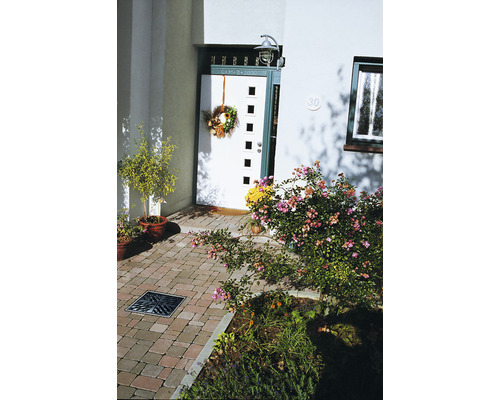 Entrée d''une maison avec porte, plantes et pavés