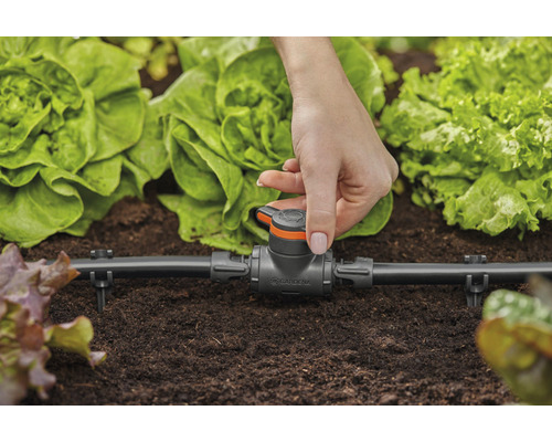 Système Gardena Micro-Drip avec main dans un parterre de jardin pour arroser les plantes