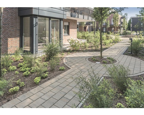 Chemin de jardin avec des pavés entre des espaces verts