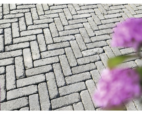 Pavés en motif à chevrons