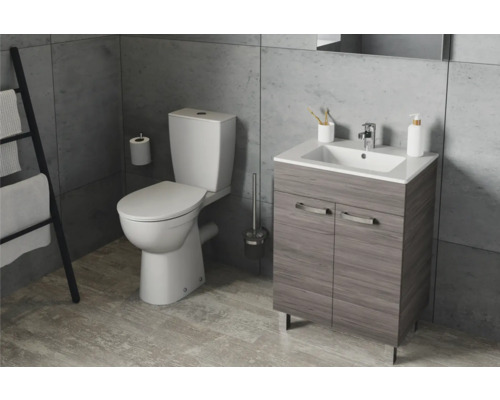 Salle de bains avec WC, meuble sous-lavabo, porte-serviettes et accessoires de salle de bains.