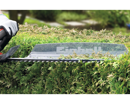 Eine Heckenschere von Einhell schneidet eine grüne Hecke.