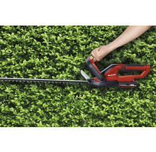 Eine Person benutzt eine Akku-Heckenschere von Einhell, um eine Hecke zu schneiden.