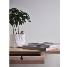 Dekorative Zimmerpflanze in Papiertüte auf einem Tisch mit Büchern