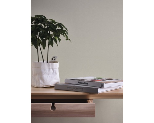 Dekorative Zimmerpflanze auf einem Holztisch mit zwei Büchern.