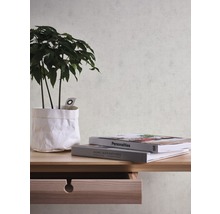 Dekoratives Stillleben mit Zimmerpflanze, Büchern und Holzschreibtisch