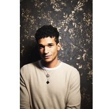 Porträt eines Mannes vor einer verzierten Wand