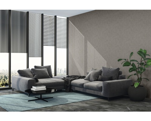 Salon avec canapé d''angle gris, stores et plante d''intérieur