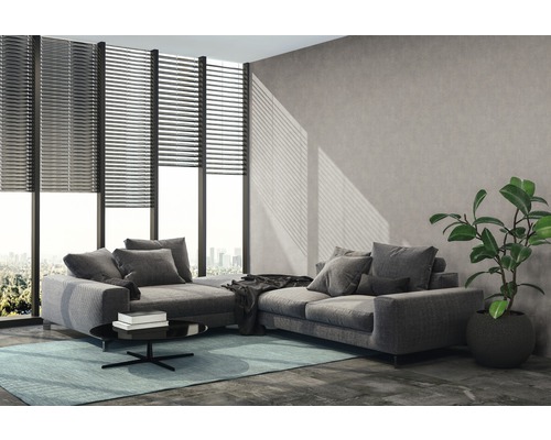 Salon avec canapé, table basse et plante d''intérieur