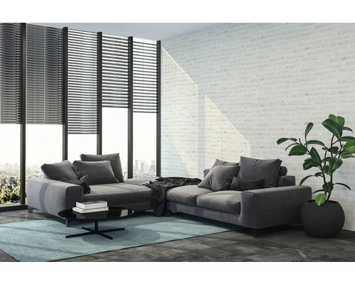 Wohnzimmer mit grauer Eckcouch, Rollladen vor dem Fenster und Zimmerpflanze