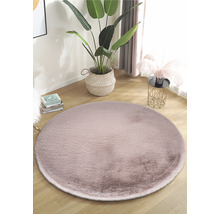 Tapis rond dans une pièce avec une plante d''intérieur