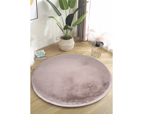 Tapis rond dans une pièce avec une plante d''intérieur