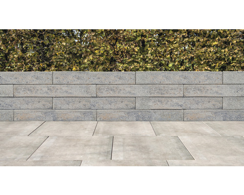 Mur en béton avec pavés dans le jardin