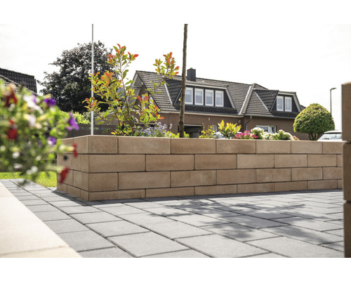 Mur de jardin en blocs de pierre avec plantes et sol pavé