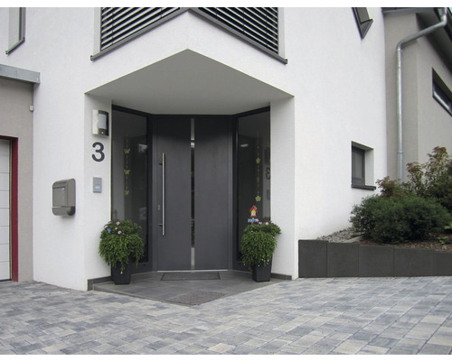 Eingangsbereich eines Hauses mit Haustür, Hausnummer, Briefkasten und Bepflanzung