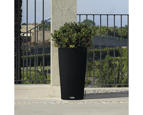 Haut pot de fleurs tressé avec plantation à l''extérieur.