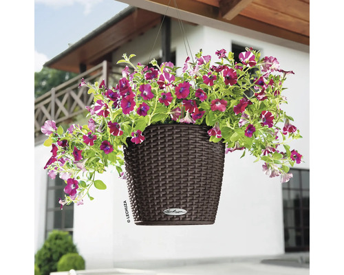 Suspension avec pétunias violets dans un pot en plastique marron