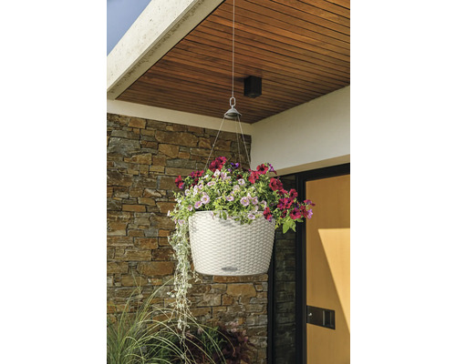 Jardinière suspendue avec des fleurs colorées devant un mur de maison