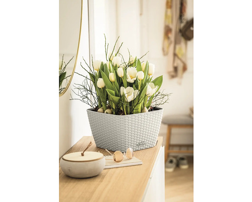 Tulipes blanches décoratives dans un pot clair sur un buffet dans l''entrée.