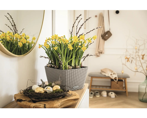 Intérieur décoratif avec des jonquilles dans un pot, un nid avec des œufs de Pâques et un miroir dans le couloir