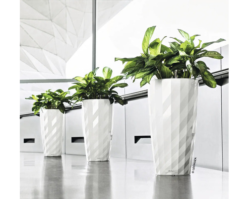 Trois grands pots de fleurs blancs avec des plantes dans un intérieur lumineux.